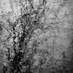 'Spiegelungen im Wasser I' in a higher resolution